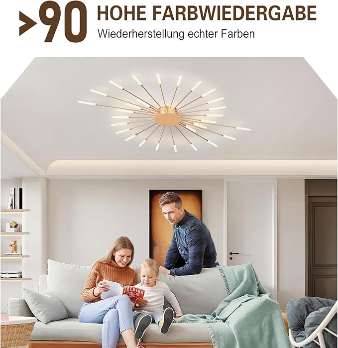 Modern Ceiling Light Flower Shape, Metal Firework Ceiling Lamp with Plug-in LED Source, Lighting Fixture for Living Room Dining Room Bedroom, Natural Light