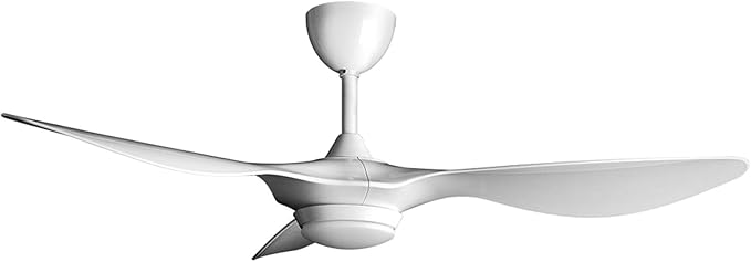 Ceiling Fans & Accessories