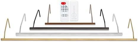 Situ Lighting: Plug-in Vision Series Remote Controlled LED Art and Picture Light - USA Made - 2700K