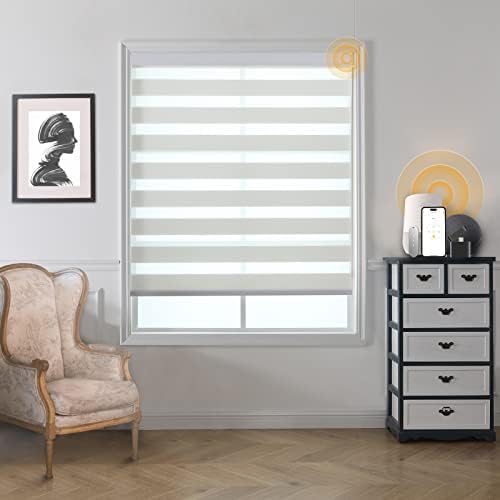 Motorized Blinds with Remote, Cordless Automatic Zebra Shades, Smart Blind for Windows, White, 48 x 72