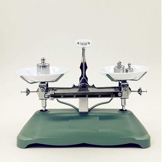 Weigh Scales Calibration Weight,Gram Calibration Weight,Scale Balance Calibration Weight,for Digital Scale Balance (500G)