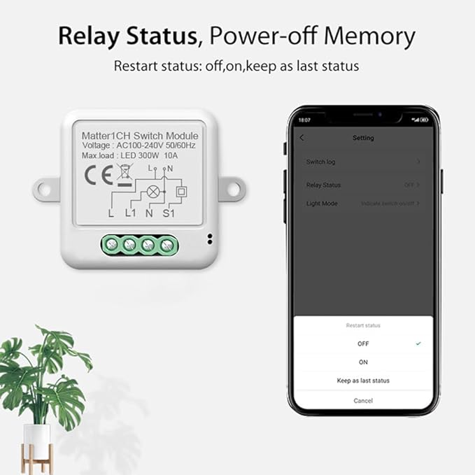 1CH Matter Mini Smart WiFi Switch Module DIY Smart Relay Switch Module 10A Switch for Smart Home Automation Compatible with Home Pod//Assistant/