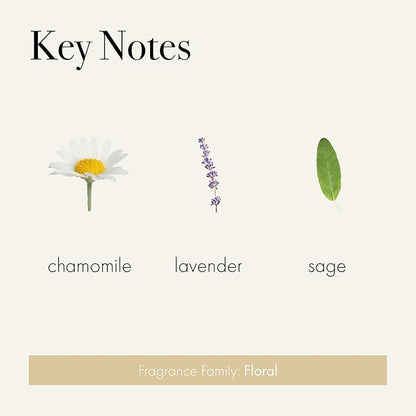 LAFCO New York Classic Reed Diffuser, Chamomile Lavender - 6 oz - Up to 3 Months Fragrance Life - Reusable, Hand Blown Glass Vessel - Natural Wood Reeds - Made in The USA