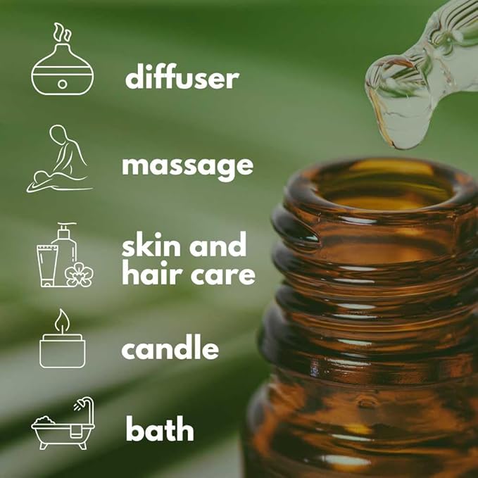 Dual Eucalyptus Essential Oil Blends by One Arome – Eucalyptus Oil (Corymbia Citriodora - Lemon & Eucalyptus Globulus) | Oil for Diffusers, Massage (Dilute) & DIY (Pack of 6 × 1.0 fl oz Each)