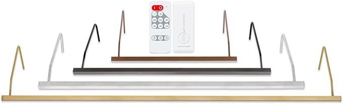 Situ Lighting: Plug-in Vision Series Remote Controlled LED Art and Picture Light - USA Made - 3000K