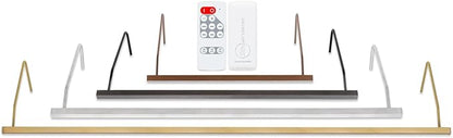 Situ Lighting: Plug-in Vision Series Remote Controlled LED Art and Picture Light USA Made - Color Tuning 2700K - 4000K