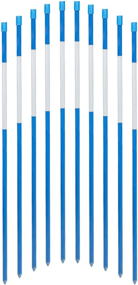 FiberMarker Driveway Markers 48-Inch Blue 20-Pack 1/4-Inch Dia Solid Driveway Poles for Easy Visibility at Night
