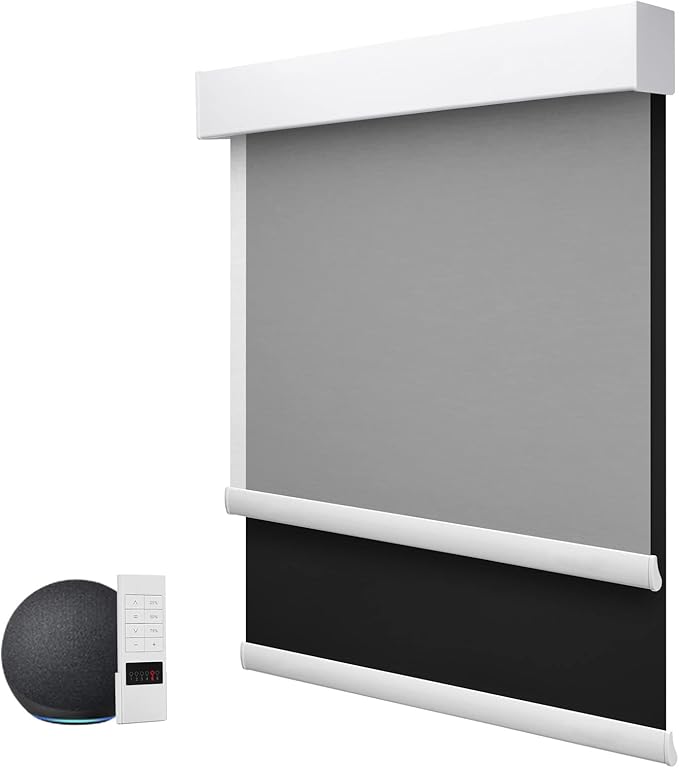 ZSTARR Motorized Day and Night Dual Smart Blind for Window with Valance Rechargeable Motor,Blackout Roller Shade Custom Size,with Valance Suitable for Home,Office (Full Blackout Black)