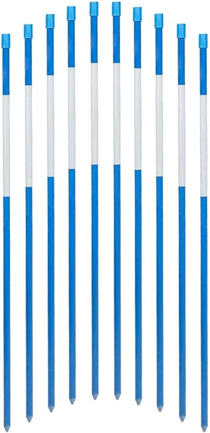 FiberMarker 72-Inch Snow Markers Driveway Reflectors Snow Stakes 20-Pack 5/16-Inch (Dia.), Blue