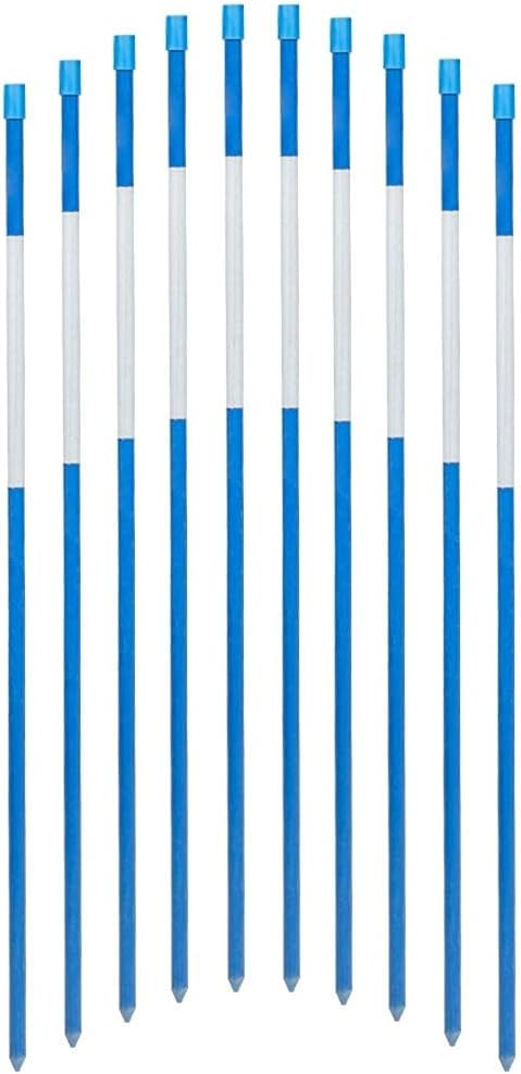 FiberMarker 72-Inch Snow Markers Driveway Reflectors Snow Stakes 20-Pack 5/16-Inch (Dia.), Blue