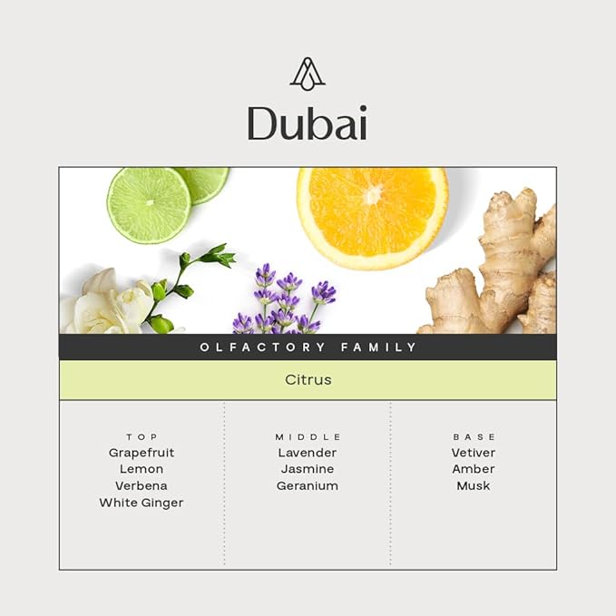 AromaPlan The Bestsellers Set, Dubai, Santal, 24 Knights - Top Picks Set Collection- Gift Set, USA Fragrance- Luxury Aroma & Hotel Fragrance Diffuser Oil- USA Made (3 Pack/ 1.7 fl.oz (50 ml)