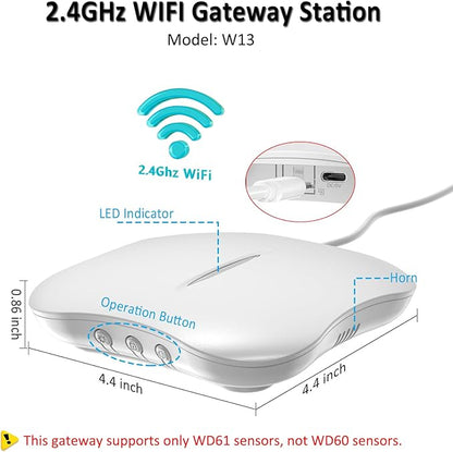 WiFi Water Leak Detector for Home with App Notification, 1 Gateway+10 Sensor, 120dB Flood/Drip Alarm for Basement/Kitchen/Bathroom/Toilet/Laundry Room, Under Sink/Drain/Pipe Leakage, W13+WD61x10-White