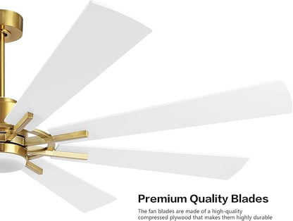 WINGBO 60" DC Ceiling Fan with Lights and Remote Control, Gold and White Ceiling Fan, 8 Plywood Blades, 6-Speed Reversible DC Motor, Modern Ceiling Fans Indoor for Kitchen Bedroom Living Room