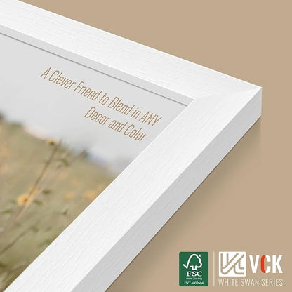 VCK 14x24 Picture Frames white Set of 6, Wide Border Wood Poster Frame, Multi-Directional Display Family Photos, Office Prints, Studio/Gallery Artwork, Woodgrain Series, Wall Hanging