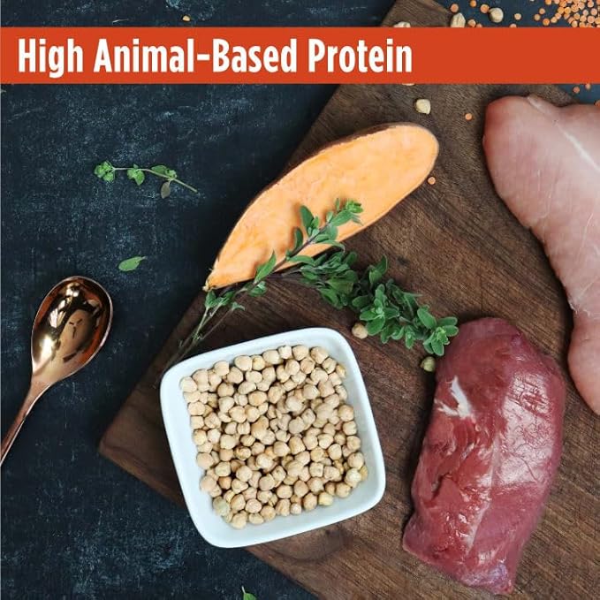 Nulo FreeStyle High Protein Cat & Kitten Food, Turkey & Duck Recipe - Natural Grain-Free Dry Cat Food with Omega Fatty Acids & Probiotics, 14 lb Bag