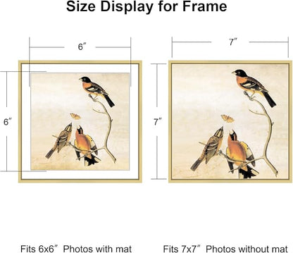 7x7 Picture Frame, Brass Metal Square Photo Frames with HD Glass, Fits 6x6 with Mat or 7 x 7 without Mat, Display for Wall and Table, 1 Pack
