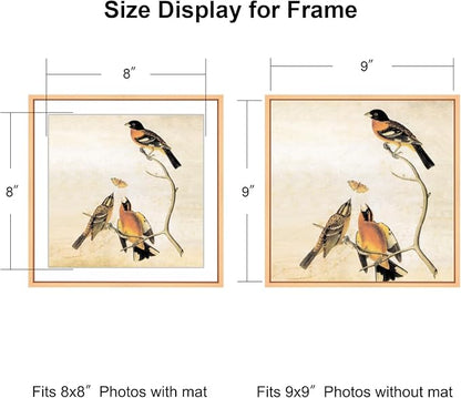 9x9 Picture Frame, Gold Metal Square Photo Frames with HD Glass, Fits 8x8 with Mat or 9 x 9 without Mat, Display for Wall and Table, 1 Pack