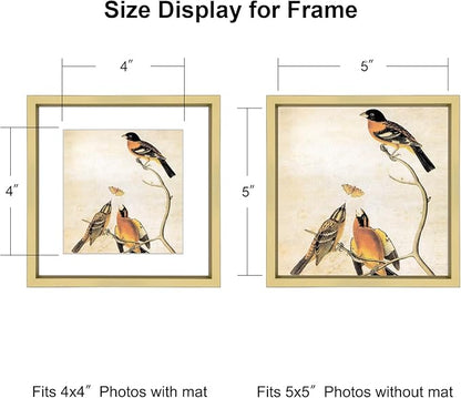 5x5 Picture Frame, Brass Metal Photo Frames with HD Glass, Fits 4x4 with Mat or 5 x 5 without Mat, Display for Wall and Table, 3 Pack