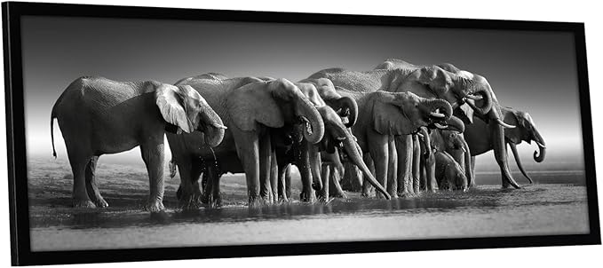 Americanflat 12x36 Picture Frame with Polished Plexiglass - Signature Collection - Gallery-Style Frames Made of Engineered Wood - Photo Frame for Wall Display - Black