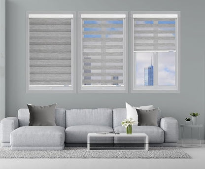 Shadesu Cordless Zebra Blinds for Windows, 57" W x 72" H, Grey, Dual Layer Free-Stop Zebra Shades, Light Control for Day and Night, Sheer Blinds for Indoor Windows, Bedroom, Kitchen