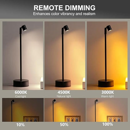 ZitoStory Lights for Pictures On Wall, Battery Operated Picture Light Rechargeable,Black Led Art Lighting for Paintings Wireless with Remote Magnetic Stick Dimmable and Timer（1 Pack）