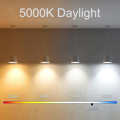 5 Inch Edison Bulb, 5000K Daylight White E26 Led Bulb 6W Dimmable, 800LM T10 T9 Clear Glass Tubular Light Bulbs, AC 120V Equal 80 Watt Bulbs for Chandelier Pendant Wall Light - 4Pack