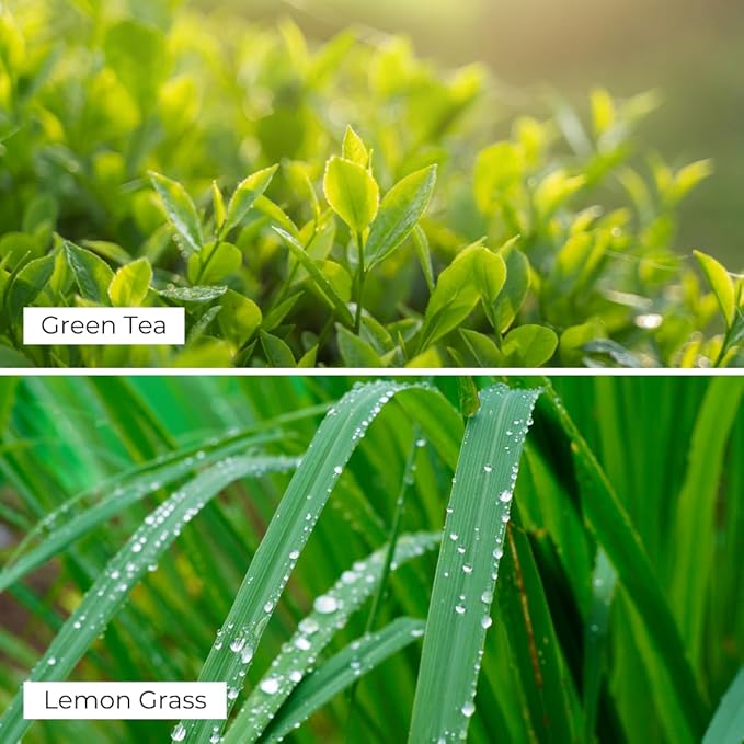 Green Tea & Lemongrass Aroma Oil & Diamond Smart Scent Air Machine - Sleek & Efficient Essential Oil Diffuser | Bluetooth App Control | Fresh Cut Pine & Fir | Refreshing Winter Forest Scent | 100mL