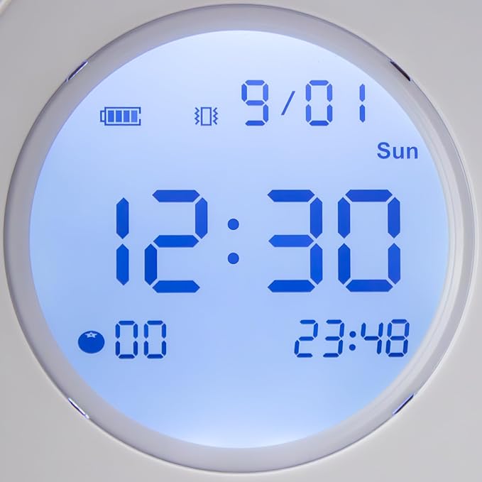 e-Pill Task-E-Lert 2-in-1 Pomodoro Timer for Kids and Adults | 3 Daily Alarms | Visual Timer & Loop Function | Time Management Tool for Productivity