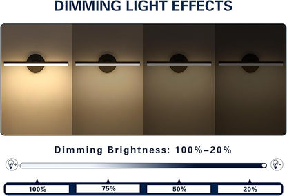 Hardwired Adjustable Lighting Matte Black Modern LED Picture Lights for Paintings 15.7'' Inch Long Swing Arm Metal Art Lights Warm White 3000K