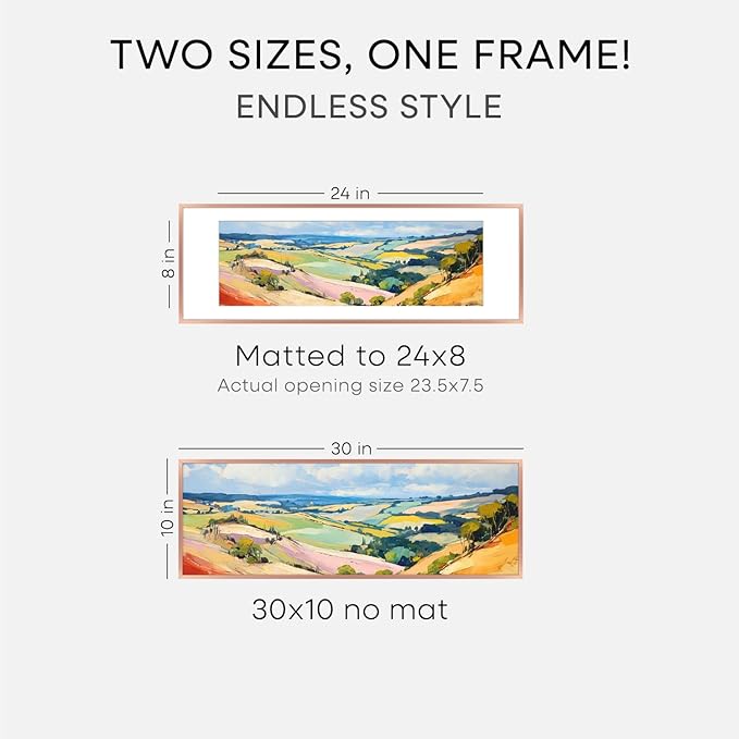 Homeforia 10x30 Rose Gold Picture Frame, High End Metal 10by30 Poster Frames with Mat 8x24 Photo, 10 x 30 Rose Frames Matted to 8 x 24 Print, 30x10 Panoramic Frames, Tempered Glass, Wall Kit, Set of 1