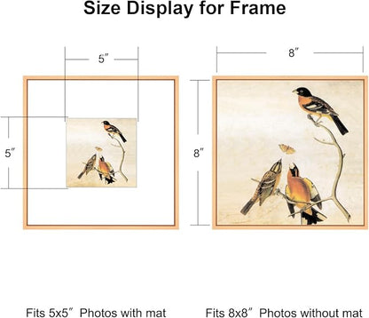 8x8 Picture Frame, Gold Metal Square Photo Frames with HD Glass, Fits 5x5 with Mat or 8 x 8 without Mat, Display for Wall and Table, 1 Pack