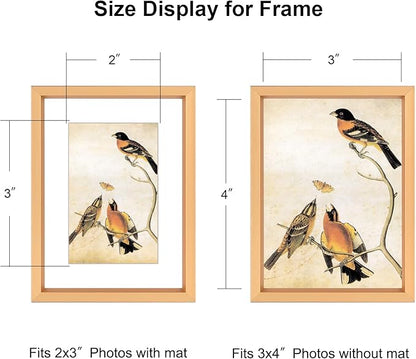 3x4 Picture Frame Set of 3, Gold Aluminum Metal Photo Frames with HD Glass, Fits 2x3 with Mat or 3 x 4 without Mat, Display for Wall and Table