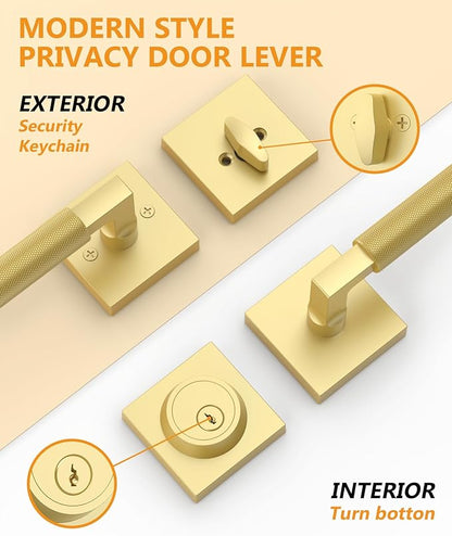Asidrama Premium Gold Zinc-Alloy Front Door Lock Set: Double Cylinder Deadbolt, Heavy Duty Security Handleset for Left/Right Exterior Doors, Universal Entry Locks (1 Pack)