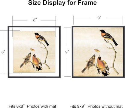9x9 Picture Frame, Black Metal Square Photo Frames with HD Glass, Fits 8x8 with Mat or 9 x 9 without Mat, Display for Wall and Table, 1 Pack