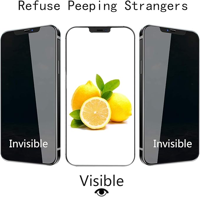 PEHAEL 2+2Pack for iPhone 12 Pro Max Privacy Screen Protector with Camera Lens Protector Full Coverage Anti-Spy Tempered Glass Film 9H Hardness Bubble Free [6.7 inch]