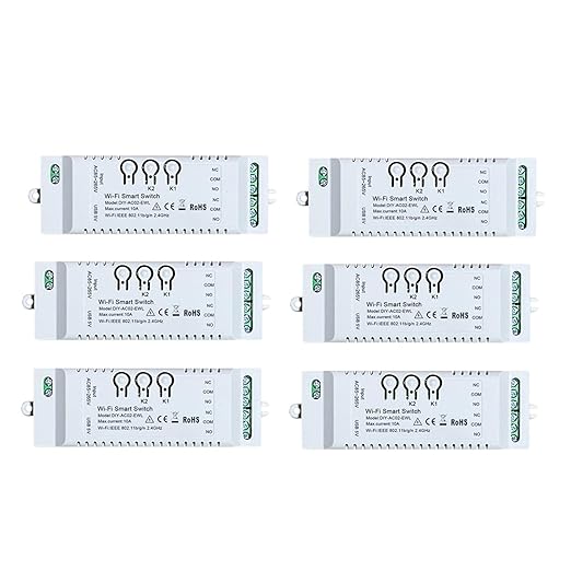 6X 2CH WiFi Smart Switch DIY APP 85-265V USB 5V 2.4G WiFi Home Automation Module for Home