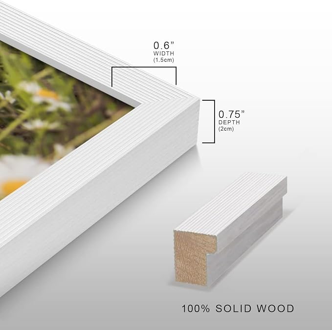 Renditions Gallery 8X10 Custom Photo Prints with Real Wood Picture Frames. Create Personalized Photos with Peel & Stick Photo Frames. Single, White Frame