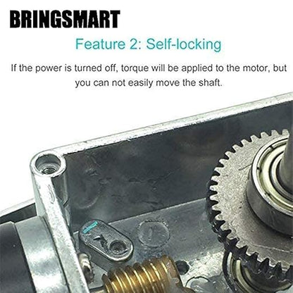 BRINGSMART 24V 5rpm DC Worm Gear Motor 70kg.cm Self-Locking Reversed Mini Turbine Geared Motor for DIY Robot Rotating Table Door Lock Curtain Machine