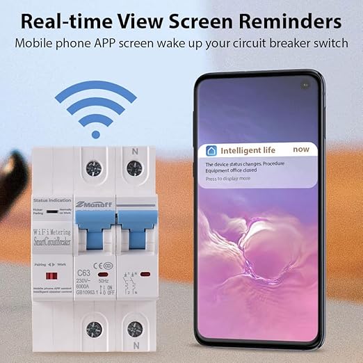 2P Smart Circuit Breaker, 100A 220V WiFi Smart Energy Monitor Switch Meter, One-Click Switch, APP Remote Switch, Miniature Circuit Breakers, Remote Control with TY APP for Apartments