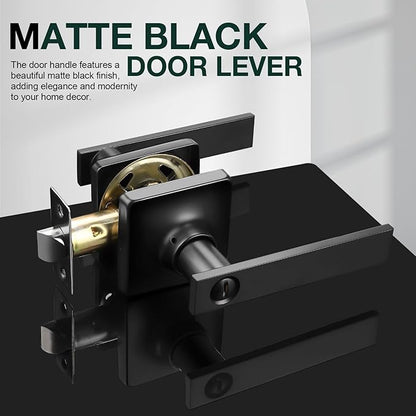GOBEKOR 2 Pack Black Door Handles,Privacy Bedroom Door Levers with Lock,Matte Black