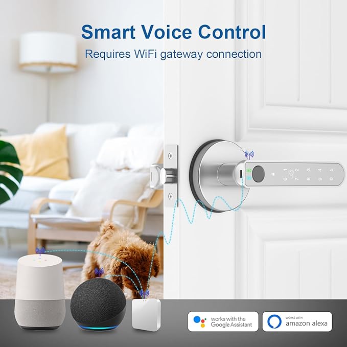 Fingerprint Door Lock, Fingerprint Door Knob Biometric Door Lock Smart Door Knob with App Control, Keyless Entry Door Lock with Handle for Home Office Apartment Bedroom Silver