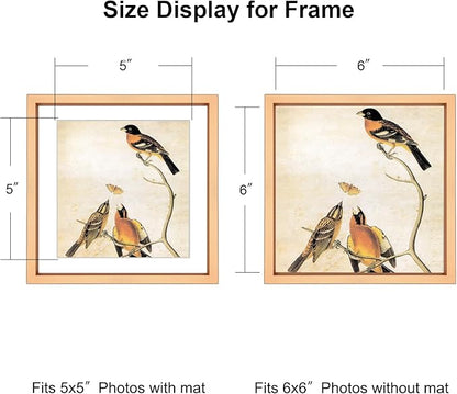 6x6 Picture Frame, Gold Metal Photo Frames with HD Glass, Fits 5x5 with Mat or 6 x 6 without Mat, Display for Wall and Table, 1 Pack