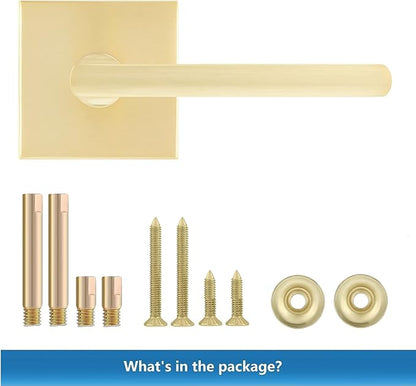 Leydebong 6 Pack Heavy Duty Dummy Door Handle Interior Lever Set, Single Sided Gold Door Knob for Interior Doors, Right/Left Handing