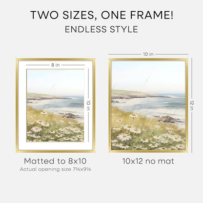 Homeforia 10x12 Picture Frame Gold, High End Metal 10x12 Poster Frames with Mat for 8x10, 10 x 12 Gold Frame Matted to 8 x 10 inch Photo, 10by12 Thin Hanging Frames, Tempered Glass, Wall Kit, Set of 1