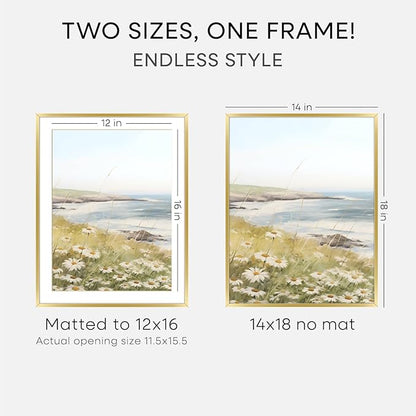 Homeforia 14x18 Picture Frame Gold, High End Metal 14x18 Poster Frames with Mat 12x16 Photo, 14 x 18 Gold Frame Matted to 12 by 16 Print, 18by14 Thin Hanging Frames, Tempered Glass, Wall Kit, Set of 1