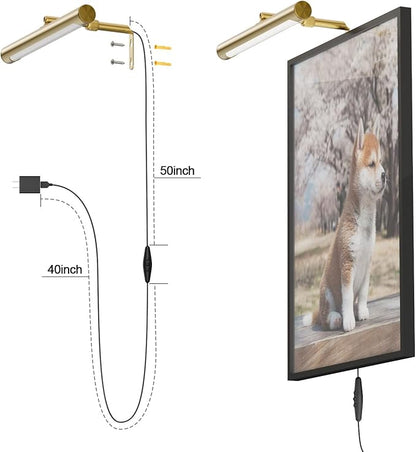 4W Picture Light Plug in, 12" Adjustable LED Art Light with Remote Control, Dimmable Wall Light for Picture Display Dartboard Art Work (Gold)
