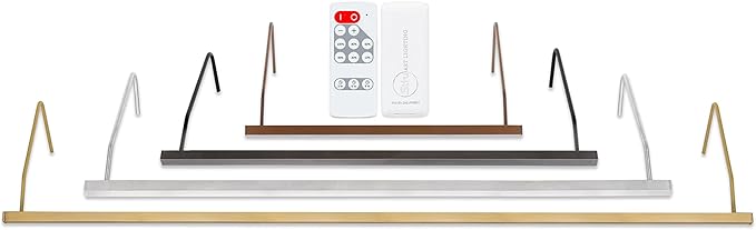 Situ Lighting: Plug-in Vision Series Remote Controlled LED Art and Picture Light - USA Made - 2700K