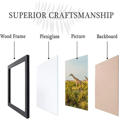 9 x13 Picture Frame Set of 3, 9 x13 Black Wooden Frame Wall Gallery Poster Photo frame with Shatter Resistant Plexiglass,Horizontal and Vertical Formats for Wall Hanging, best gift