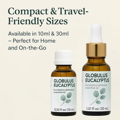 Eucalyptus Globulus Essential Oil by One Arome – Pure, Undiluted & Steam-Distilled Herbal Aroma for Diffusers for Home, Massage (Dilute), Cleaning & Linen Refresh (Pack of 4/1.0 Fl Oz)