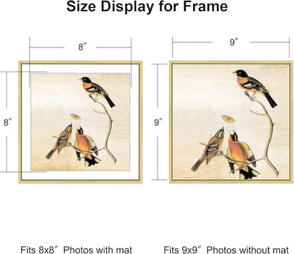 9x9 Picture Frame, Brass Metal Square Photo Frames with HD Glass, Fits 8x8 with Mat or 9 x 9 without Mat, Display for Wall and Table, 1 Pack